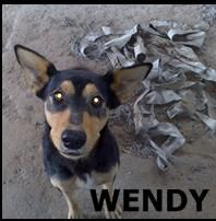 ADOPTA A WENDY