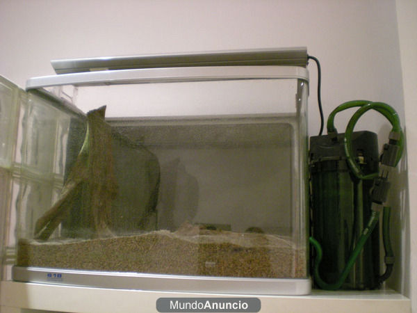 SE VENDE ACUARIO COMPLETO 100 Litros 250  MADRID CENTRO