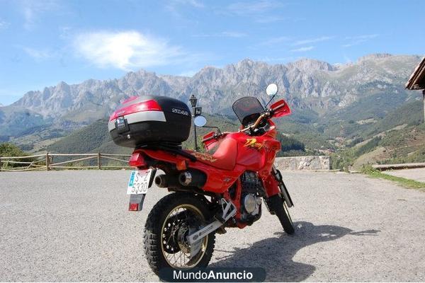 Honda dominator 650 trail carnet A2