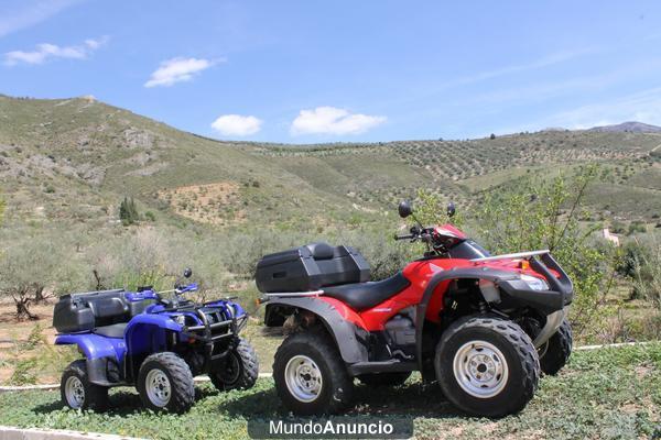 Yamaha Grizzly 660 / Honda Rincon 650