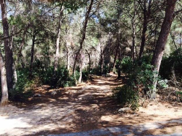 Terreno/Finca Rstica en venta en Moraira, Alicante (Costa Blanca)