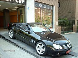 MERCEDES BENZ CLASE SL 500 306 cv