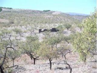 Finca/Casa Rural en venta en Serón, Almería (Costa Almería)