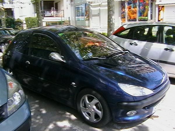 Vendo Peugeot 206 diesel  x cambio de novia ...