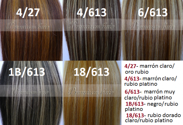 Extensiones de clip de cabello humano - 5 colores de luces