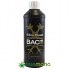 Silica Power - mejor precio | unprecio.es