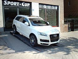 AUDI Q7 3.0 TDI QUATTRO 233 cv