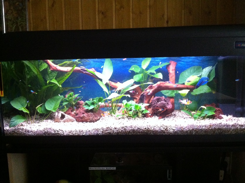 vendo acuario 120 litros