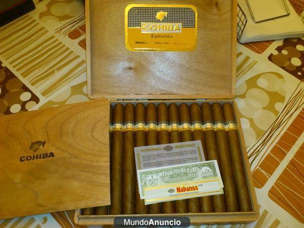 Puros Cohiba esplendidos