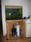 Vendo acuario 109 litros - mejor precio | unprecio.es