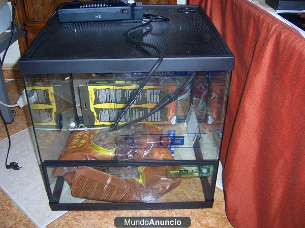 Vendo terrario super economico de cristal