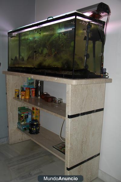 Acuario de 100*40*30 con mesa de diseño