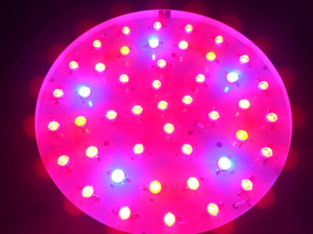 Leds para cultivo