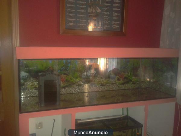 Acuario con filtro