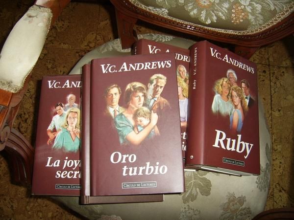 LOTE Novelas de V.C. ANDREW,