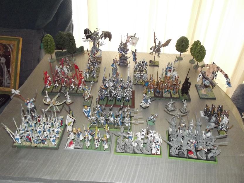 Ejercito altos elfos completo warhammer