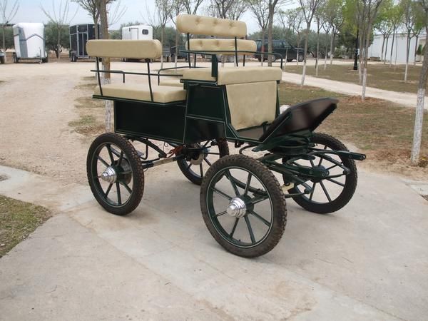 Carruaje coche de caballos maraton doma