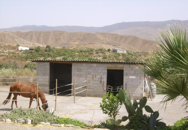 Alojamiento para caballos