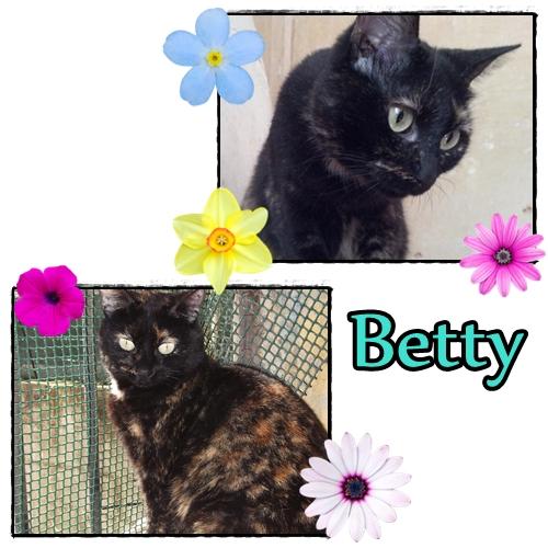 BETTY, se hace la remolona