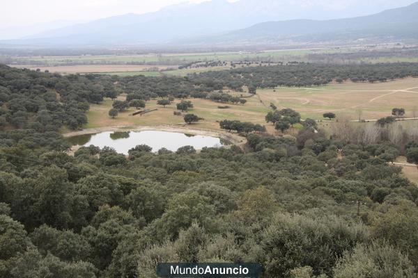 FINCA  DE RECREO 548 HAS A 100 KM. DE MADRID. GRAN DEHESA