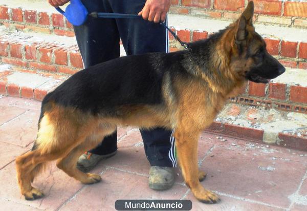 montas con hijo del campeon de españa