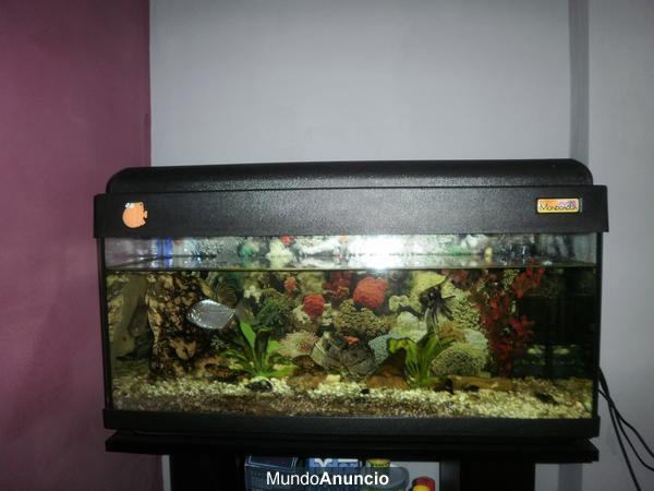 VENDO ACUARIO 100 L. POCO USO