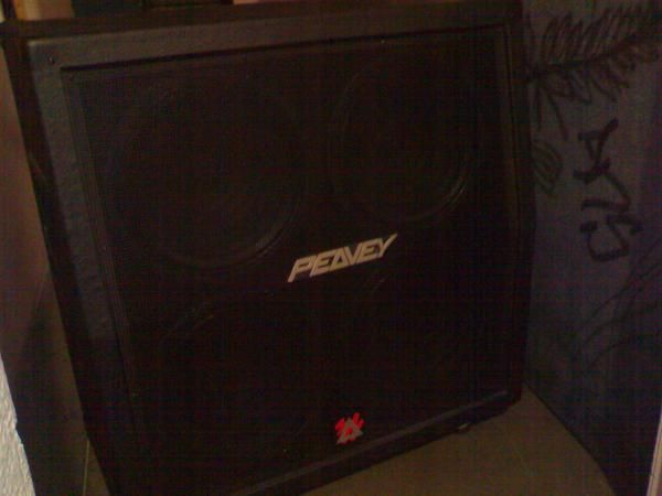 Pantalla Peavey 4x12 Seminueva Urge!