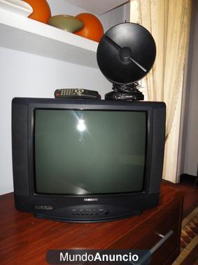 VENDO TV SAMSUNG CON MANDO A DISTANCIA Y ANTENA