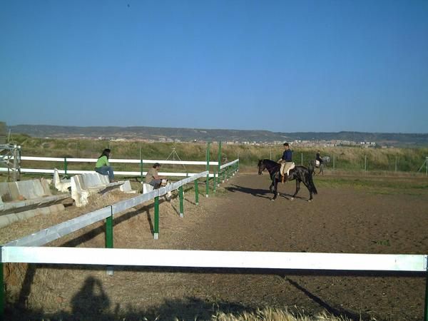 donde montar caballos guadalajara