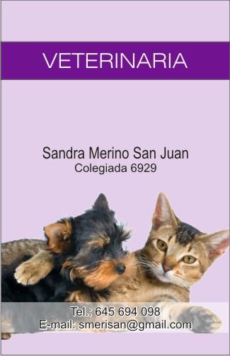 Veterinaria autónoma a domicilio