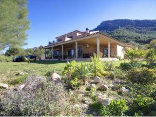 Finca/Casa Rural en venta en Alhaurín el Grande, Málaga (Costa del Sol)