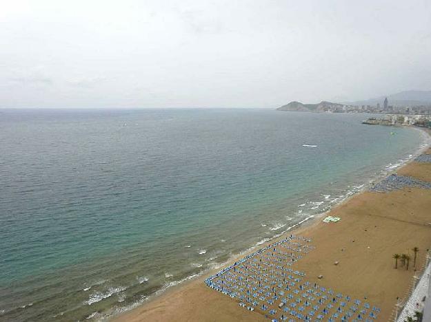 Estudio en Benidorm