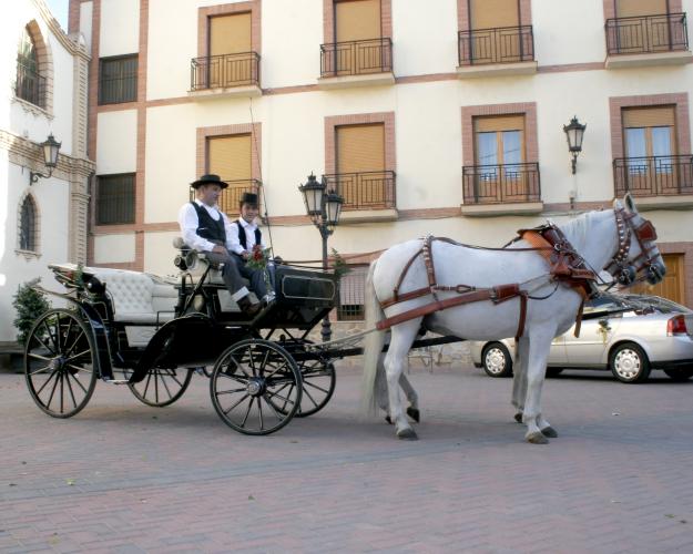 Compra venta de mulas, alquiler de carruajes, servicio de arrastre de toros