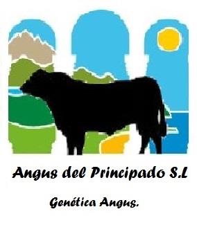 Angus del Principado S L