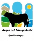 Angus del Principado S L - mejor precio | unprecio.es