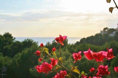 Casa en venta en Costa de la Calma, Mallorca (Balearic Islands)