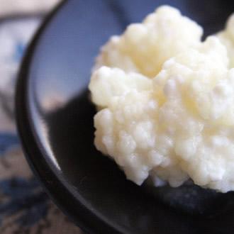 Comprar kefir: Venta de nodulos para la elaboracion de 200 ml de Kefir de Leche