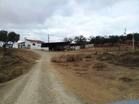 Finca de 155 hect de encinas con cortijo, naves, pantano