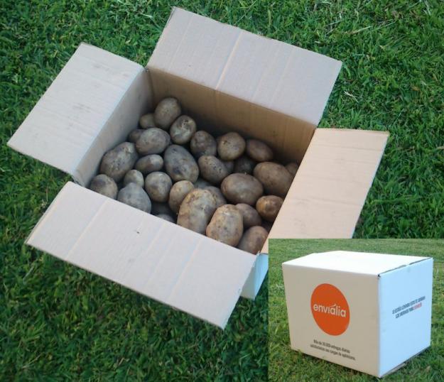 Patatas de Galicia de máxima calidad - caja 20kg