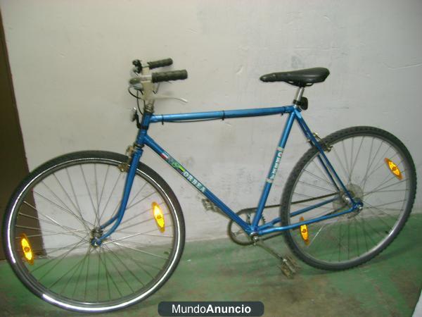 bicicleta de paseo.