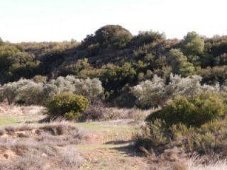 Finca/Casa Rural en venta en Maella, Zaragoza