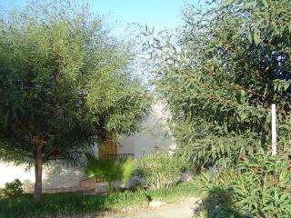 Casa : 4/6 personas - piscina - essaouira  marruecos