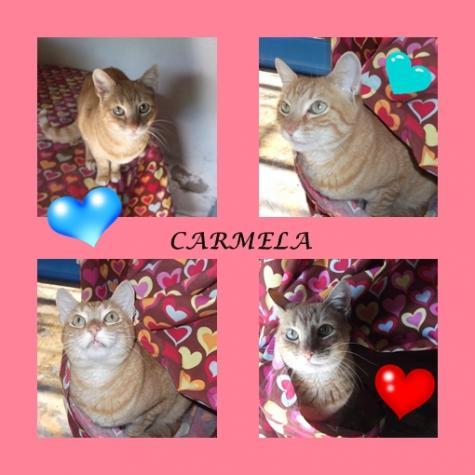 CARMELA. Una rubia muy legal.