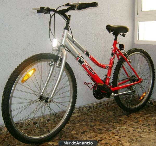 SE VENDE BICI DE MONTAÑA - GLOBE TROTTER