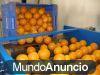 maquina de cepillar naranjas