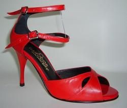 Zapatos de bailes TANGO,SALSA,SALON,HIP HOP