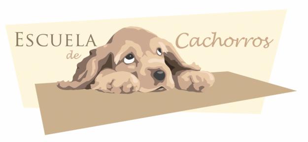 ¿Vas a comprar o regalar un cachorro? Aprende GRATIS cuidados, adiestramiento, educacion..