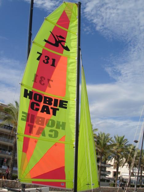 Venta de Hobie Cat Dragoon