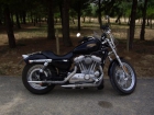 Sportster 883 low, con pocos Km - mejor precio | unprecio.es