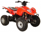 QUAD 250 - mejor precio | unprecio.es